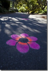 Flower path at the gardens_1280_for_Web